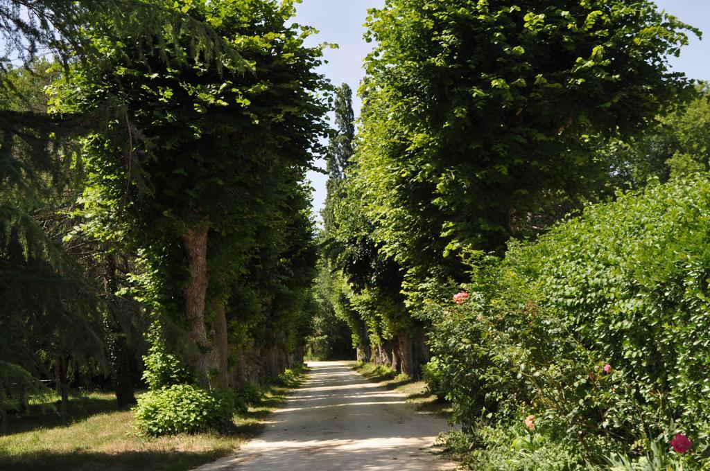 Les Longchamps Bed & Breakfast Neuille ภายนอก รูปภาพ